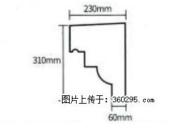 产品分解图型 - 檐口线，型号：SX311-YK-3，规格：230x310mm(3) - 阿坝三象EPS建材 ab.sx311.cc
